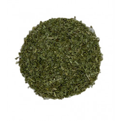 Eucalyptus