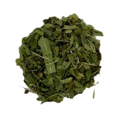 Verveine