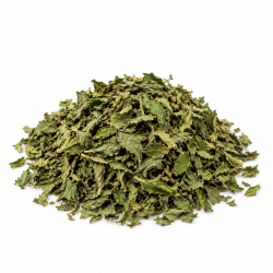 Menthe douce