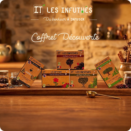 🎁 Pack Découverte – 5 Univers, 100 Sachets