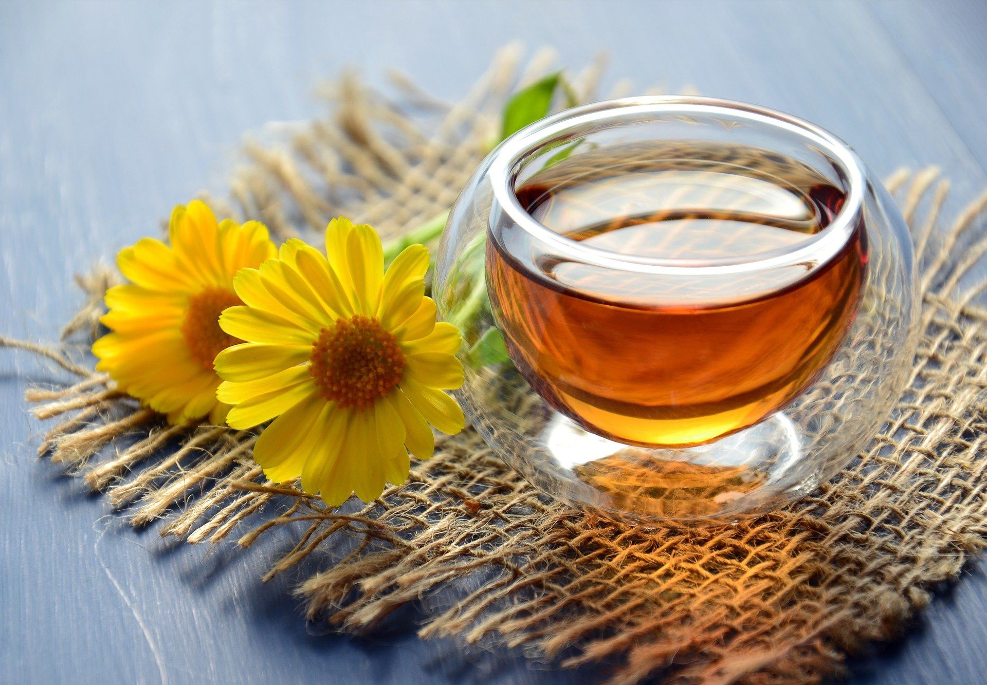 Le Thé vert Bio Les infuthés