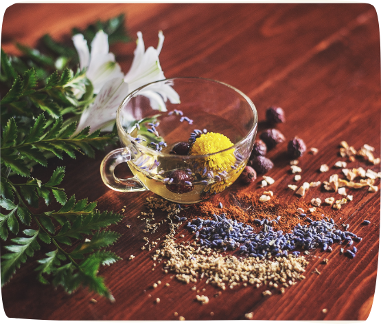 Fabrication des infusions Les Infuthés
